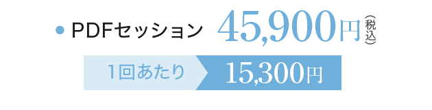 PDFセッション 45,900円(税込) １回あたり15,300円